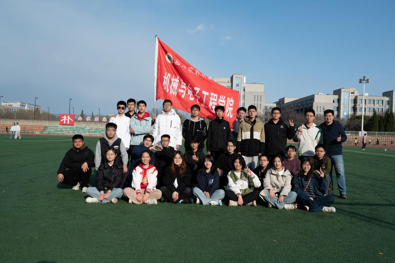 图片2_副本.png