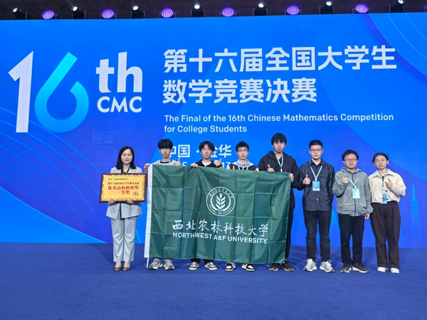 图片1.png