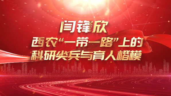 讲述我的育人故事： 闫锋欣