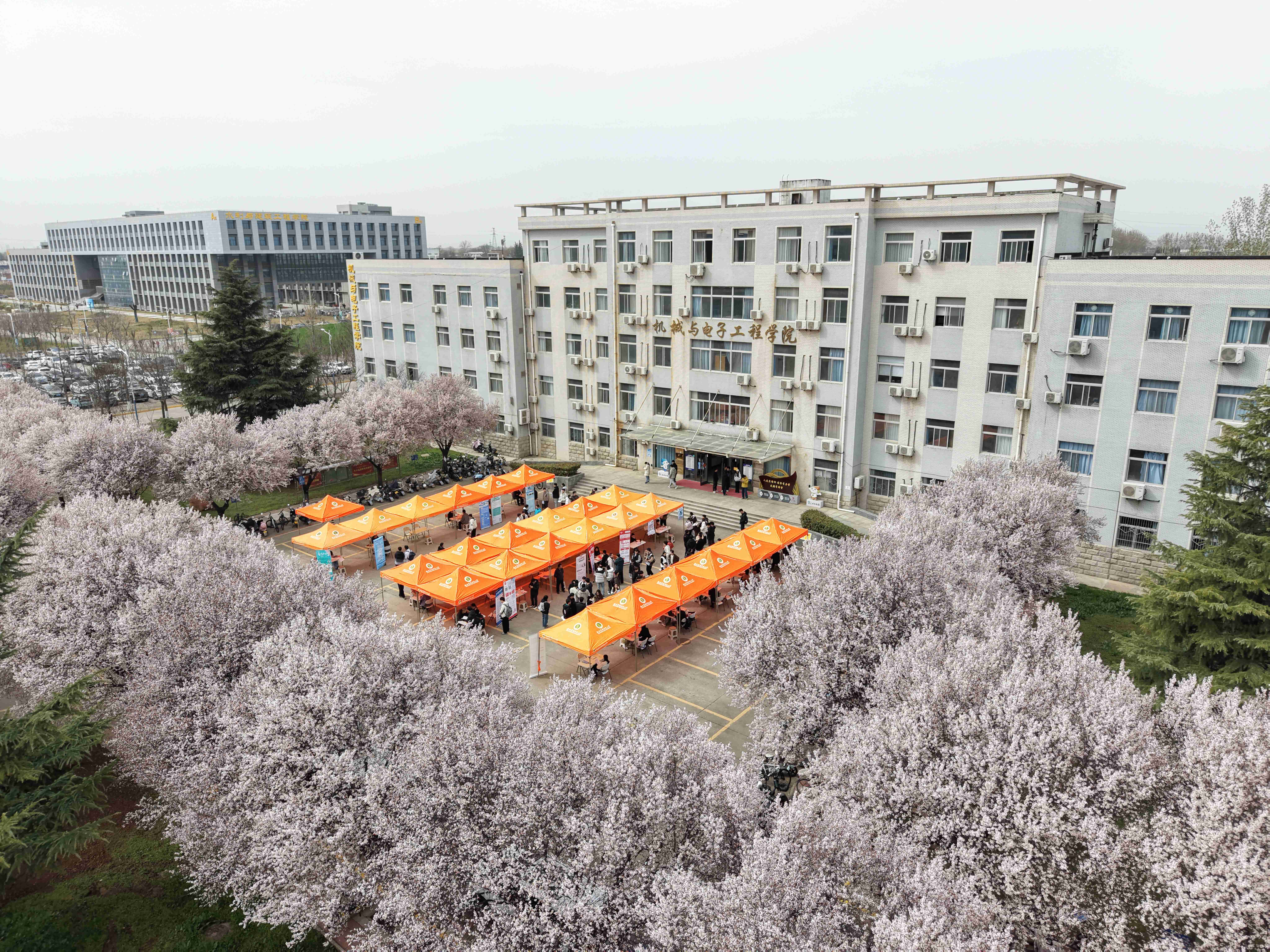 2026年春季“小精专优”专场招聘会成功举办